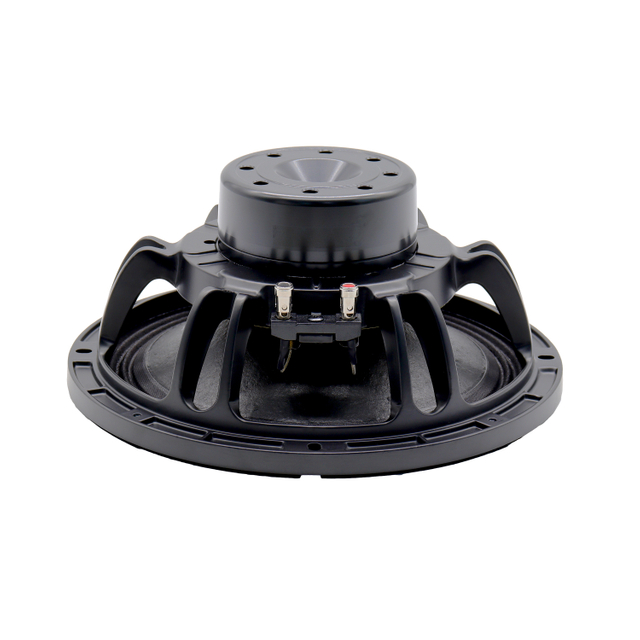 10 inch speaker for PA System