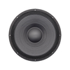 dj 21 inch speaker