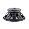 professional speaker 18 inch