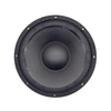 12 inch pa speaker