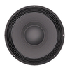 dj 21 inch speaker