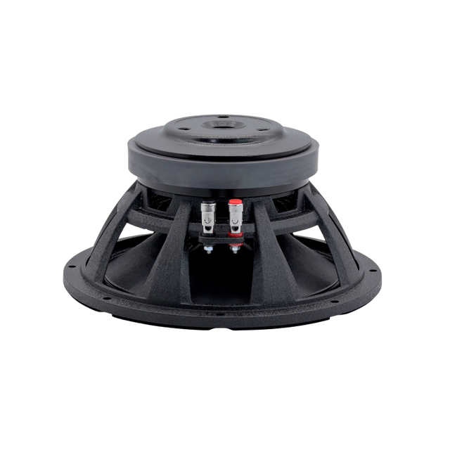 10 inch woofer