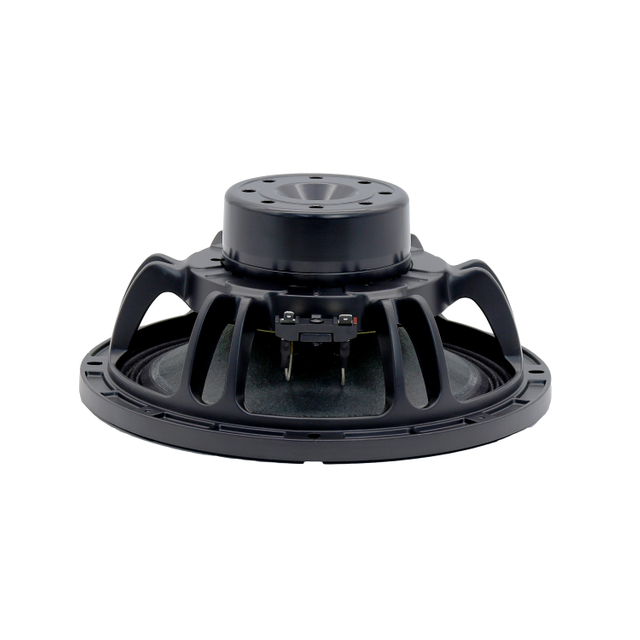 10 inch mid bass speaker