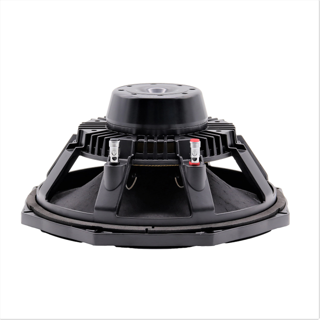 loudspeaker 12 inch mid bass speaker