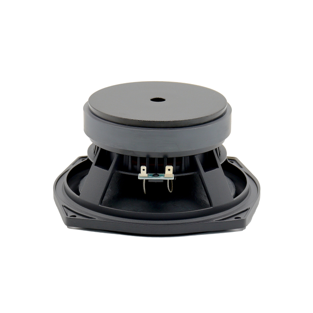 8 inch Active speaker