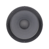 24 inch speaker