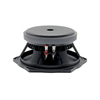 10 inch midrange speaker