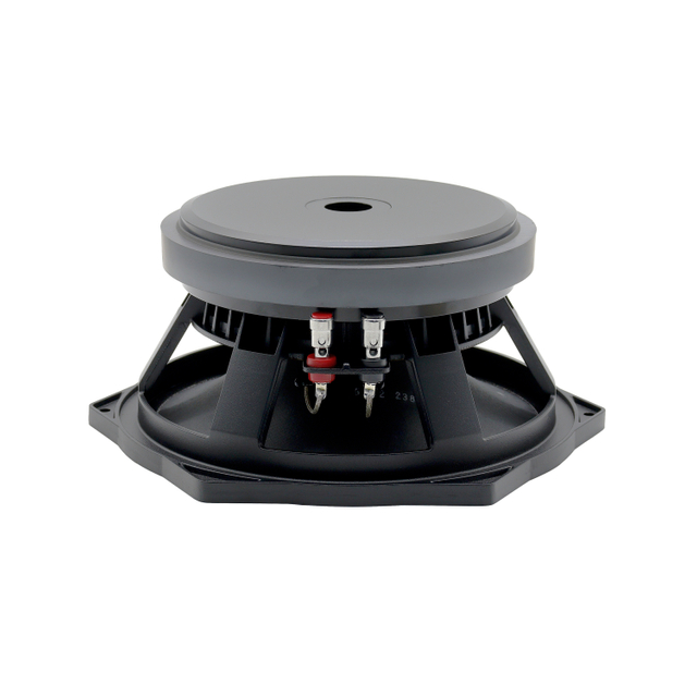 10 inch midrange speaker
