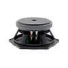 10 inch midrange speaker