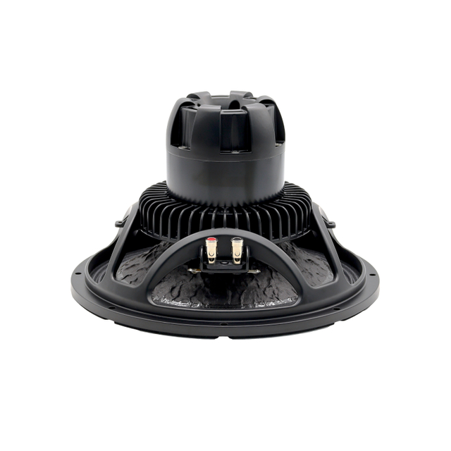 High performance stage speaker