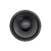  neodymium LFdriver 10 inch